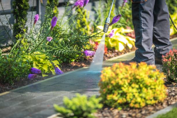 Reliable Kildeer, IL Pressure Washing Services Solutions
